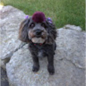 Meet your Posher, Ana